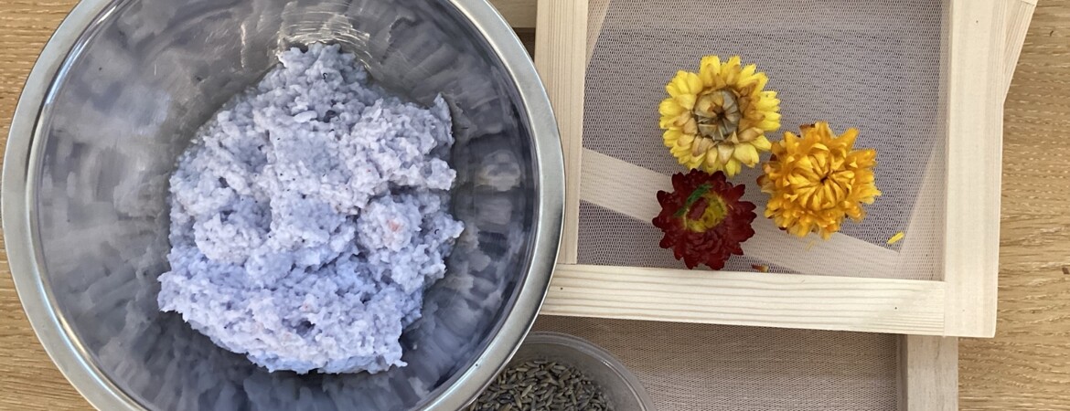 Blog Header Image