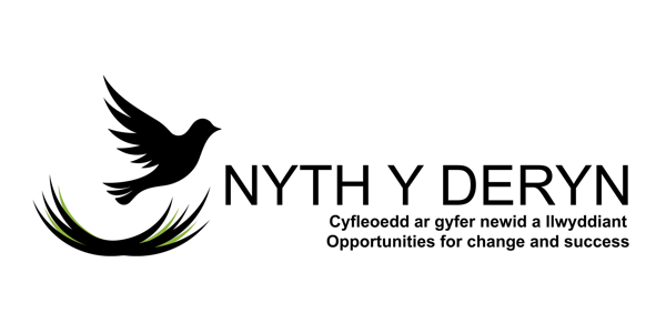 Nyth y Deryn logo white