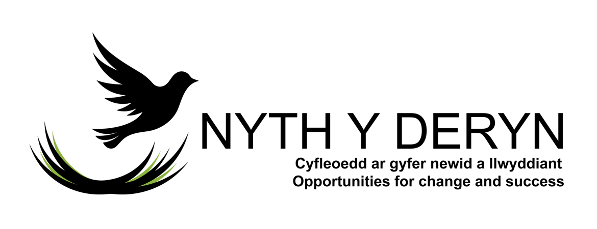 Nyth y Deryn logo white