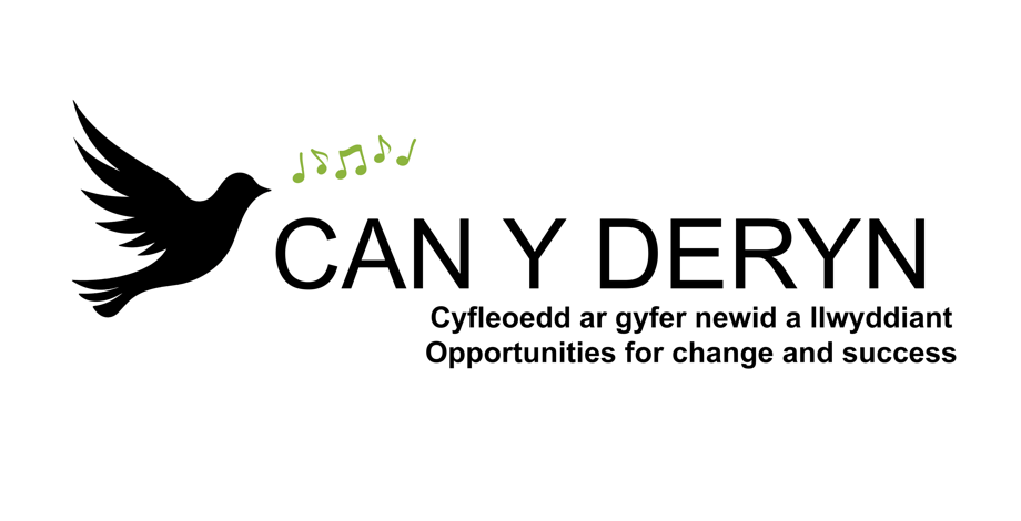 Can y Deryn logo white